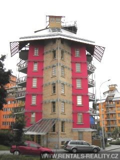 Pic 11