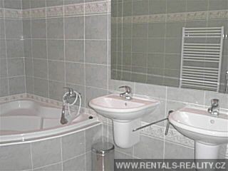 Pic 15
