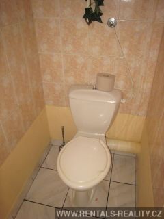 Pic 14