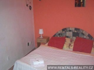 Pic 16