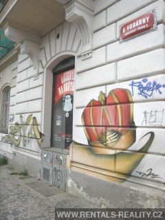 Pic 13