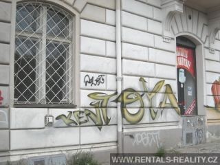 Pic 14