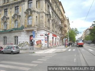 Pic 16