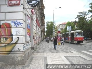 Pic 17