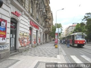 Pic 18
