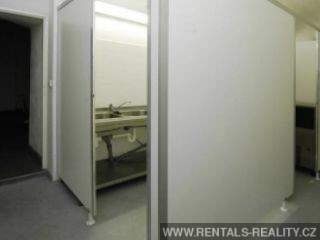 Pic 10