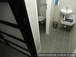 Pic 11