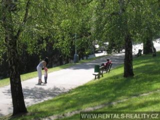 Pic 10