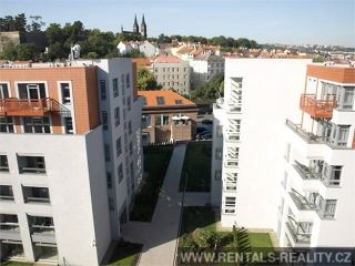 Pic 12
