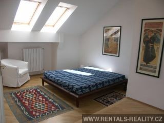 Pic 5