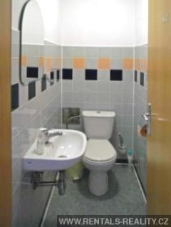 Pic 11