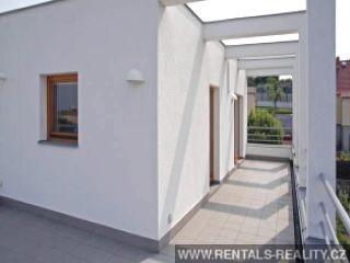 Pic 15