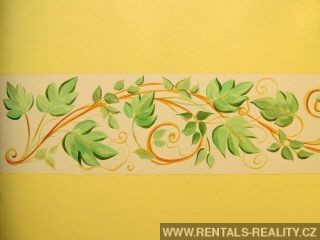 Pic 12