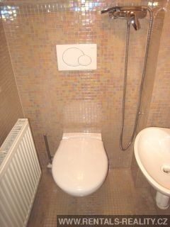 Pic 15