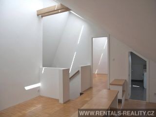 Pic 13
