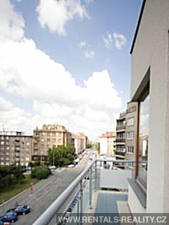 Pic 15