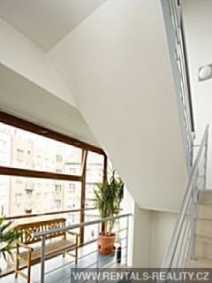 Pic 19