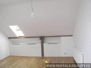 Pic 11