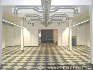 Pic 6