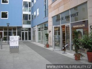 Pic 5