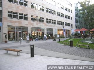 Pic 6