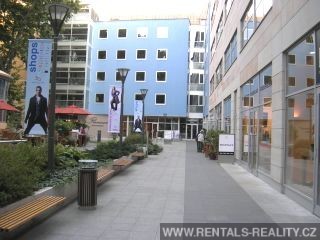 Pic 7