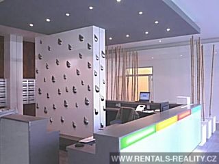 Pic 13