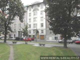 Pic 11