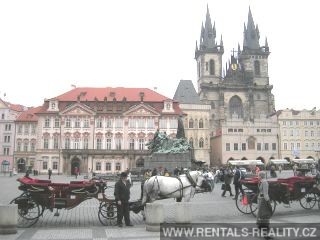 Pic 19