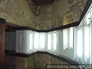 Pic 5