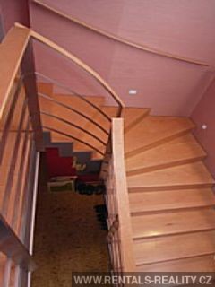 Pic 11
