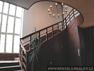 Pic 11