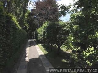 Pic 19
