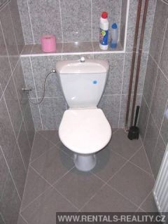 Pic 8