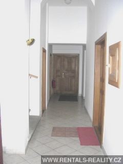 Pic 6
