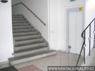 Pic 10