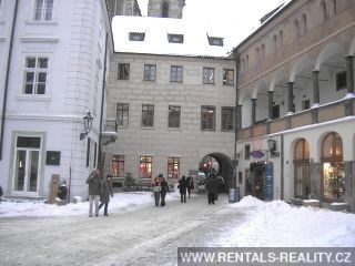 Pic 12