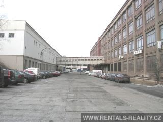 Pic 10