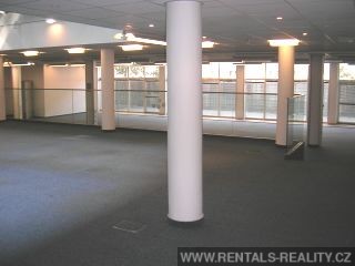Pic 6