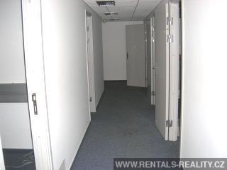 Pic 8
