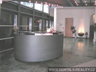 Pic 9