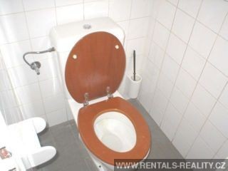 Pic 9