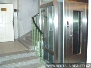 Pic 7