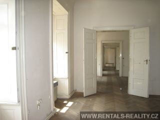 Pic 6