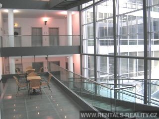 Pic 8