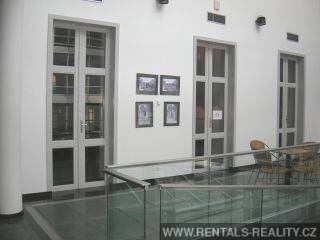 Pic 9