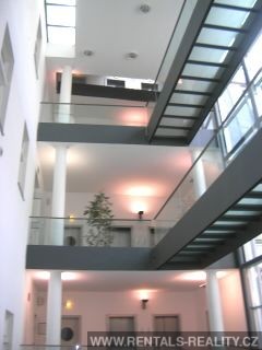Pic 7