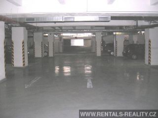 Pic 10