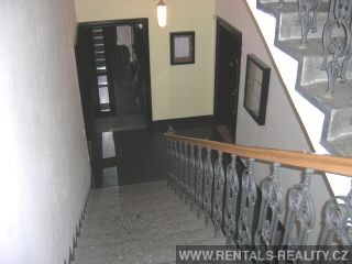 Pic 9