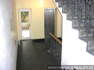 Pic 10